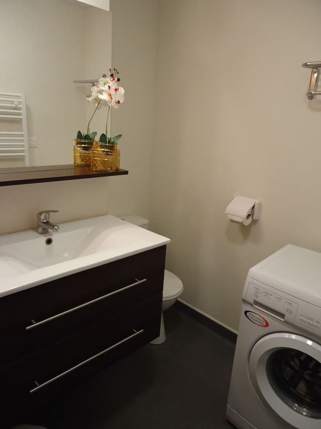Superior Apartment, 1 Bedroom
