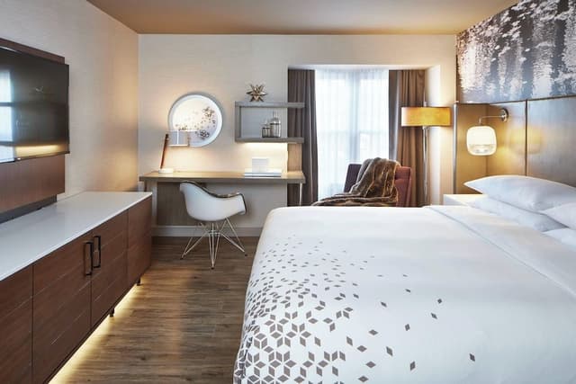 Room, 1 King Bed