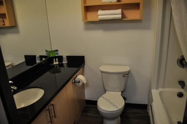 Studio Suite, 2 Double Beds