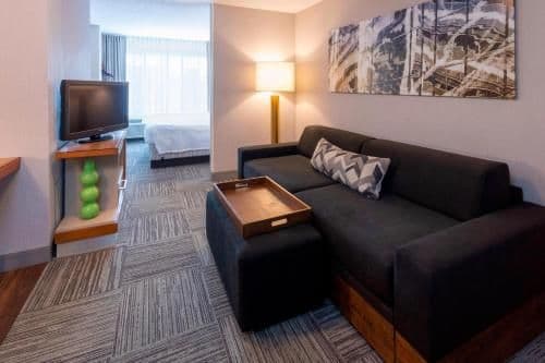 Studio, 1 King, Sofa bed