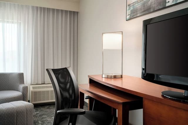 Room, 1 King Bed with Sofa bed