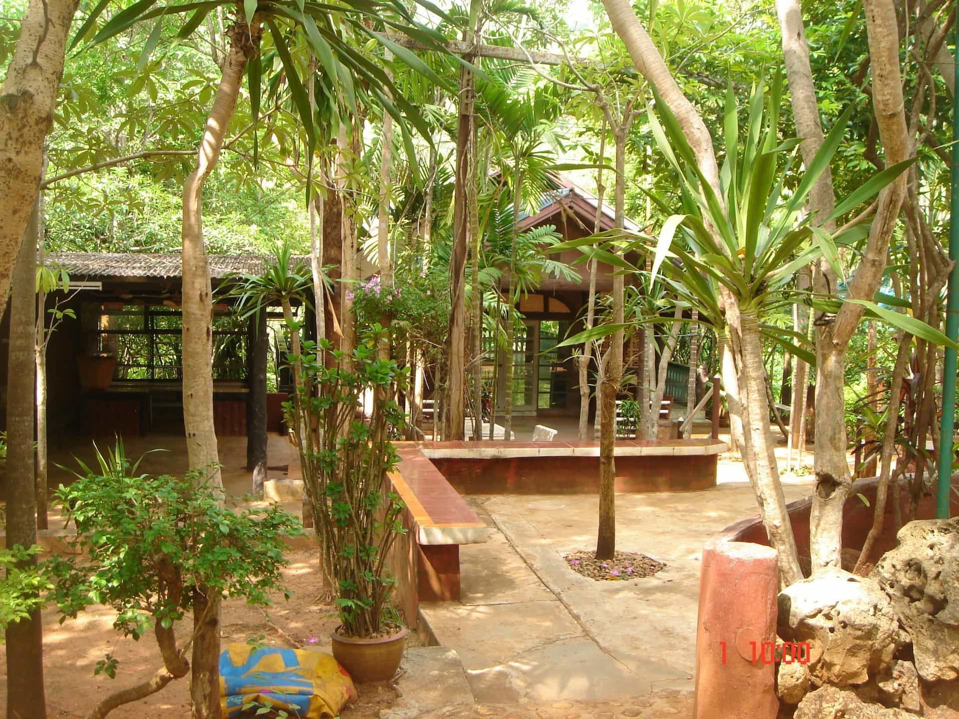 Sam's Jungle Guesthouse Sam's Jungle Guesthouse