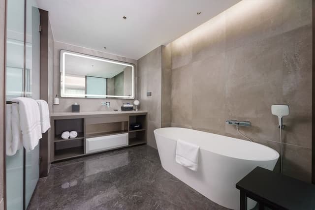 Swiss, Suite, 1 King Bed, City View