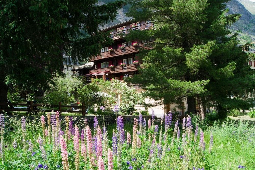 Hotel Alpina0