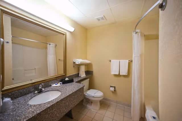 Standard Room, 1 King Bed, Non Smoking, Refrigerator & Microwave