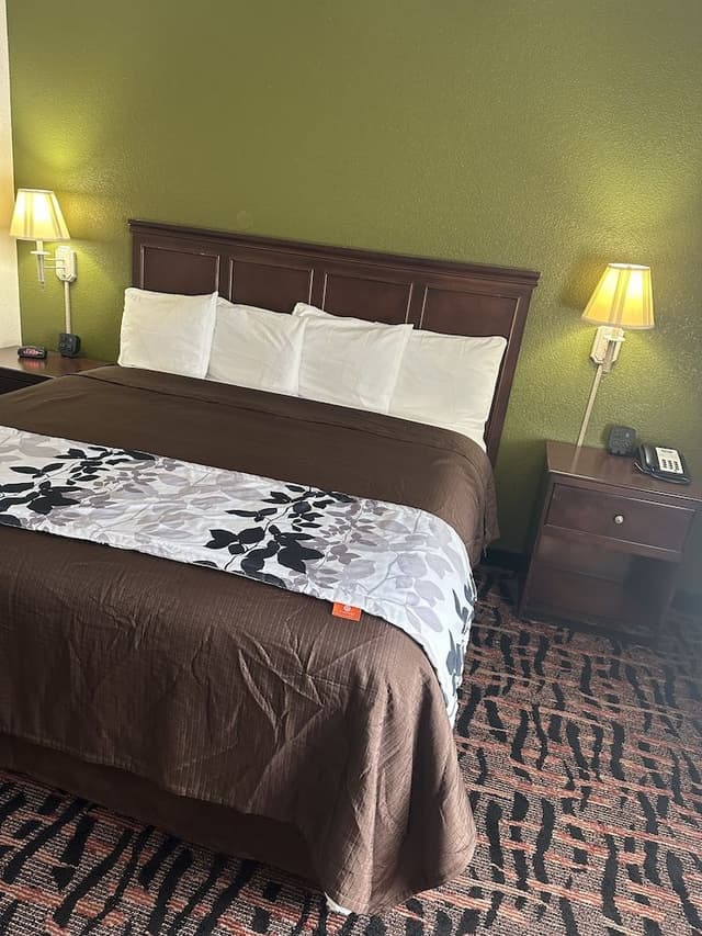 Standard Room 1 King Bed