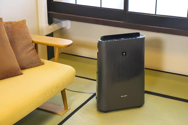 Japanese Style Deluxe Room - Non-Smoking