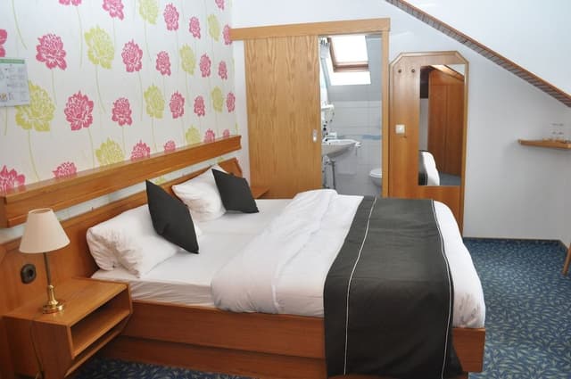 Basic Double Room