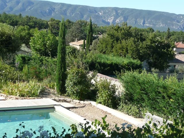 Standard Double Room, Poolside