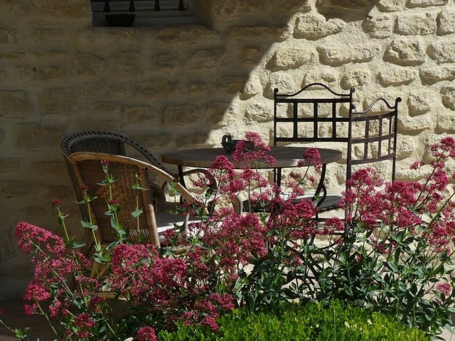 Junior Suite, Terrace, Garden Area