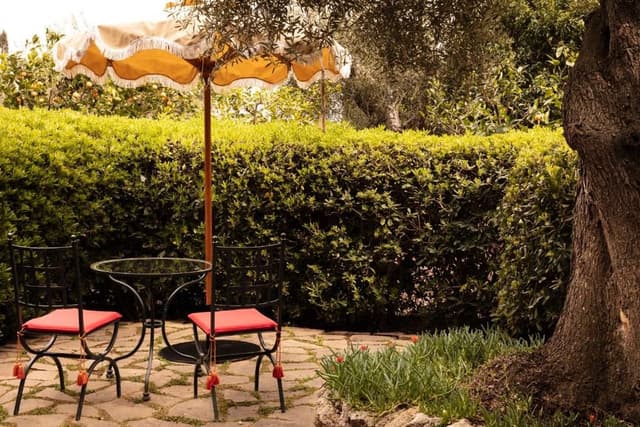 Junior Suite Garden