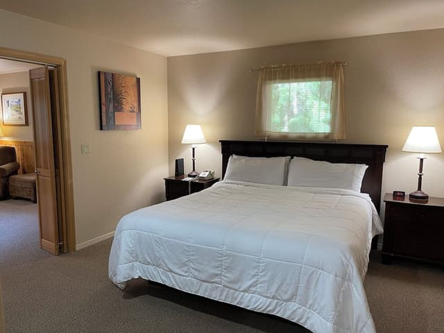 Standard Room, 1 King Bed with Sofa bed (Standard Room King Bed with Sofa Bed)