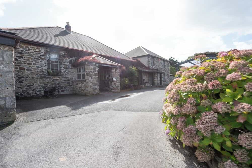 Tricky's Hotel Tricky's Hotel