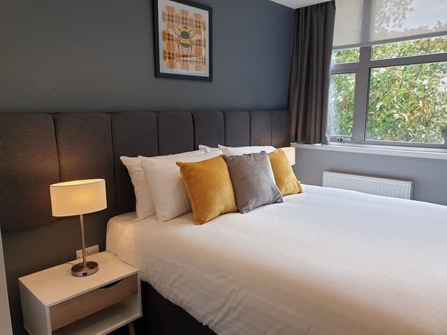 Standard Apartment