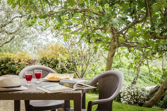 Comfort Apartment, Kitchenette