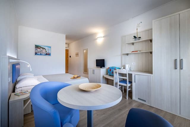 Superior Studio, 1 Bedroom, Microwave, Park View