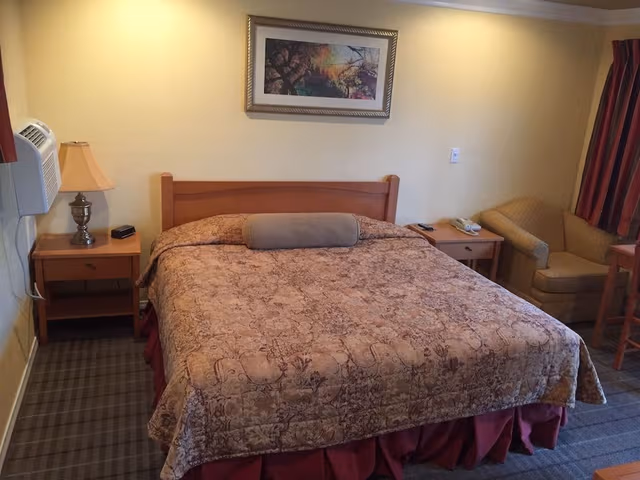 Deluxe Room, 1 King Bed with Microwave and Refrigerator