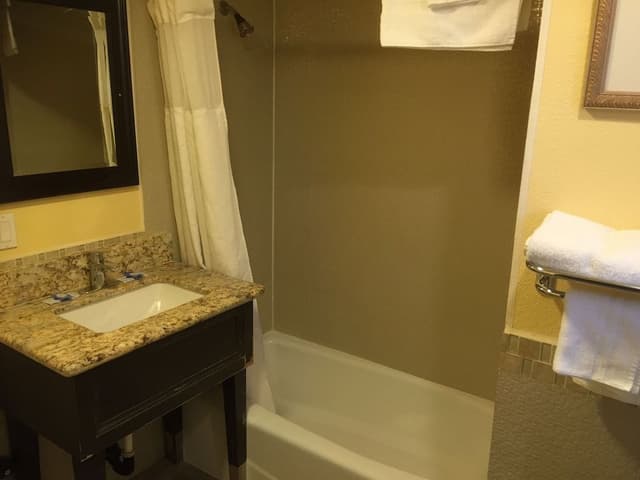 Deluxe Room, 1 King Bed with Microwave and Refrigerator