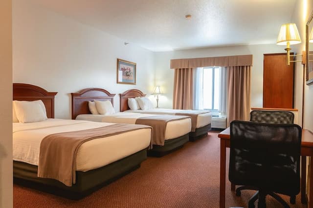 Executive Two Queen Suite