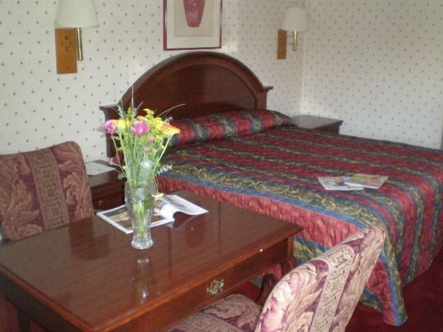 Standard Room, 1 King Bed, Smoking (Non-Smoking and Smoking Available)