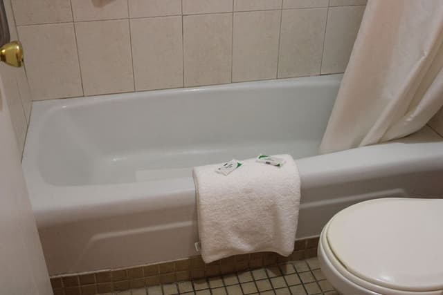 Single Room, 1 King Bed, Non Smoking