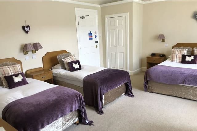 Superior Quadruple Room, Multiple Beds