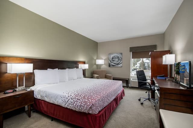 Standard Room, 1 King Bed, Mobility Accessible, Pets Not Allowed