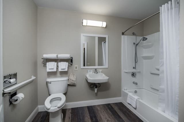 Standard Room, 1 King Bed, Mobility Accessible, Pets Not Allowed