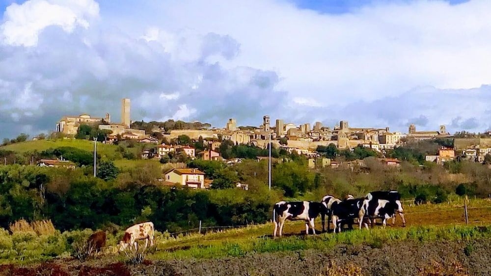 Agriturismo Il Poderino0