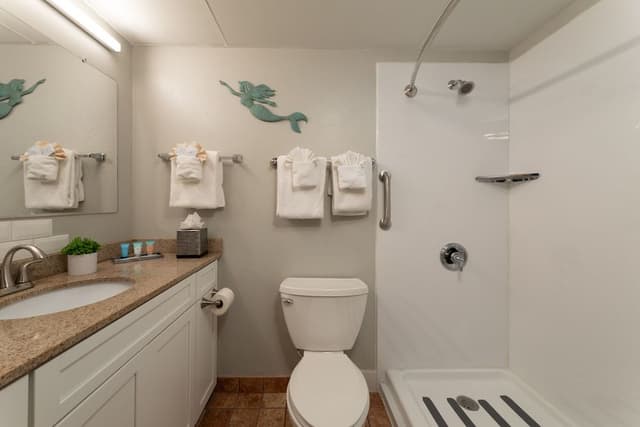 1 King Bed Lakeview - Upper Floor - Balcony 3rd - 5th Floor with unobstructed View , pullout sofa