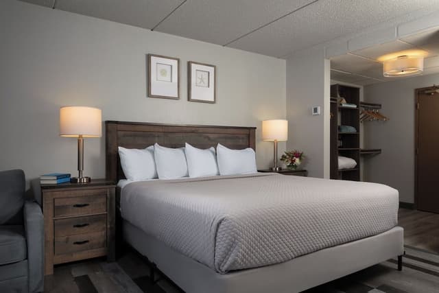 1 King Bed Lakeview - Balcony and pullout Sofa