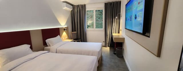 Standard Twin Room