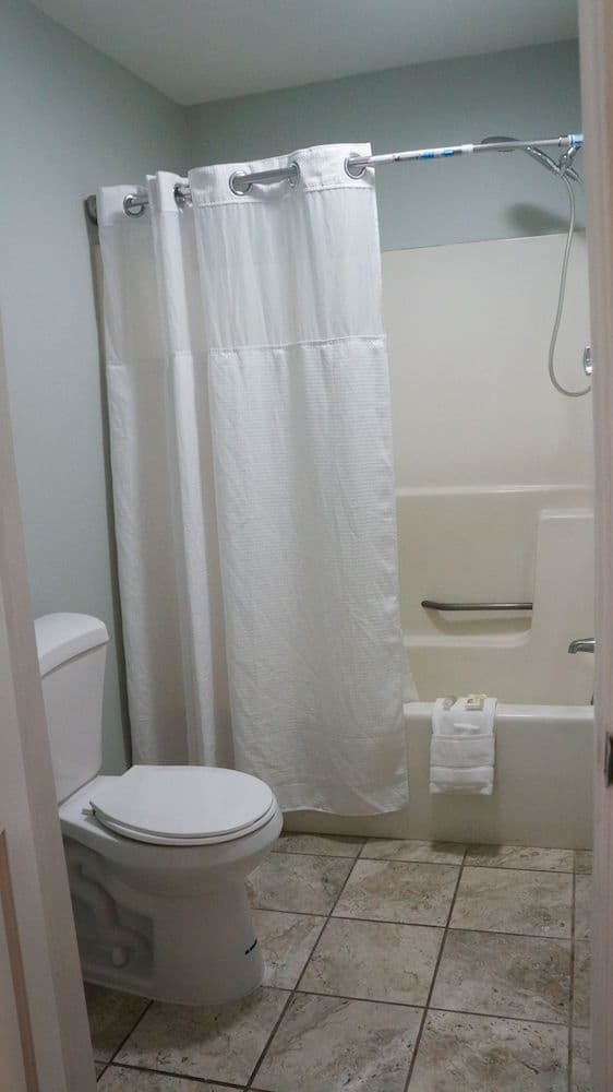 Single Room, 2 Queen Beds