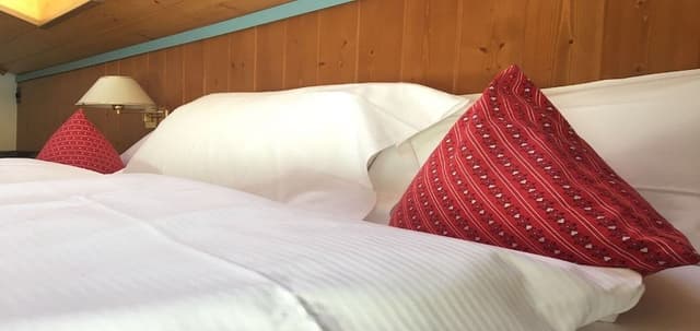 Basic Double Room