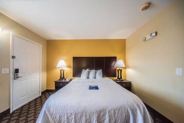 Standard Room, 1 Queen Bed, Non Smoking (No Pets)