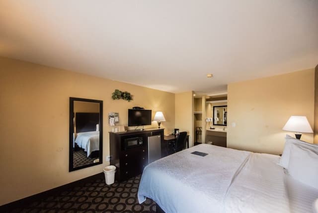 Standard Room, 1 King Bed, Non Smoking (No Pets)