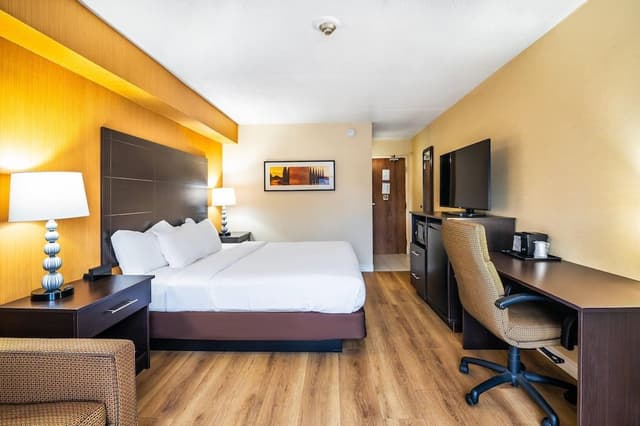 Standard Room, 1 King Bed with Sofa bed, Non Smoking (Dog Friendly)