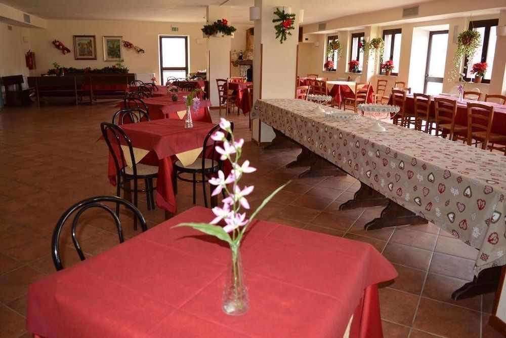 Faggio Rosso3