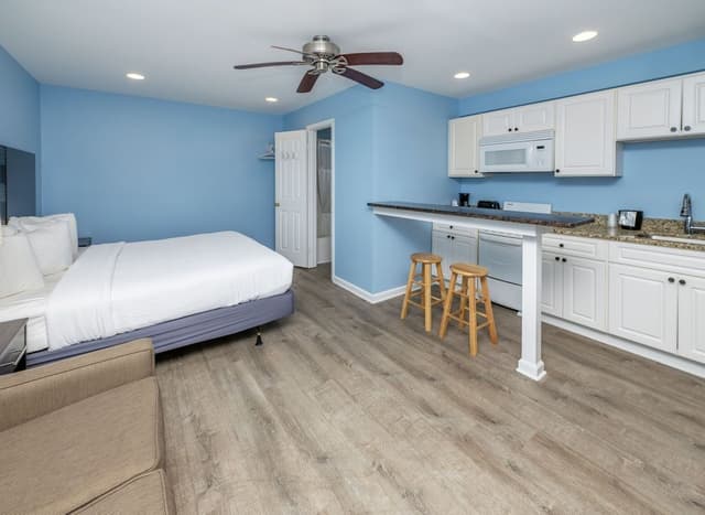 Efficiency 1 King Bed and Sofa