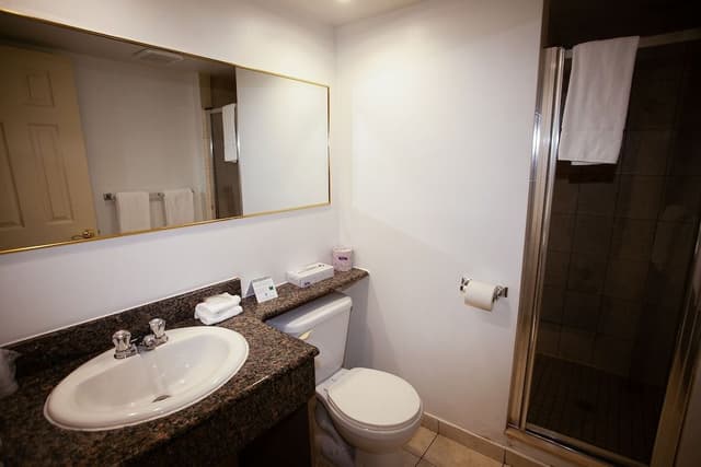 Room, Queen, Non Smoking, Kitchenette