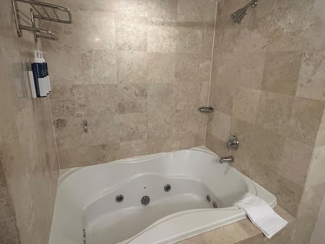 Standard Room, 1 King Bed, Non Smoking, Jetted Tub (Shower Only;Pet Friendly)