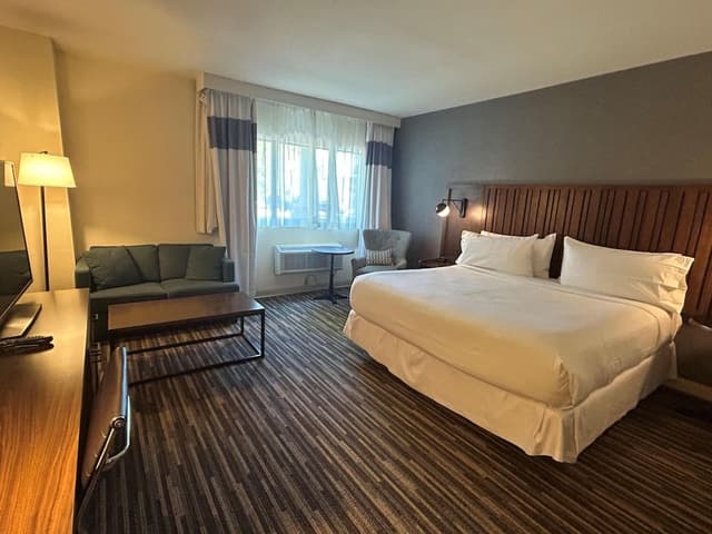 Standard Room, 1 King Bed, Non Smoking, Jetted Tub (Shower Only;Pet Friendly)