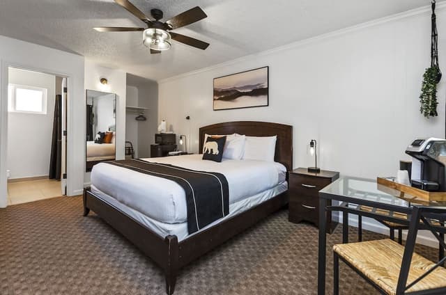 Classic Room, 1 King Bed