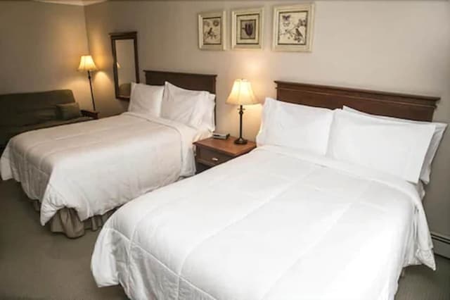Standard Room, 2 Double Beds and Futon