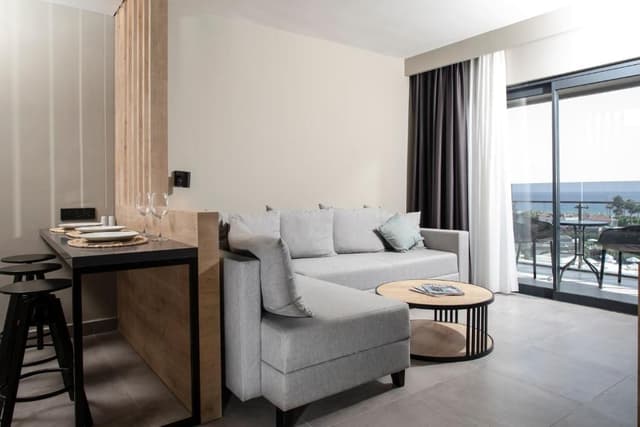 Deluxe Apartment