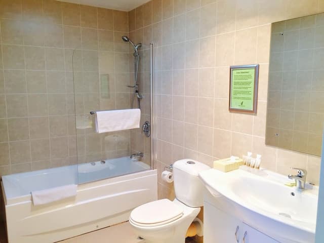 Deluxe One Bedroom Apartment