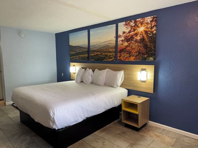 Room, 1 King Bed, Non Smoking
