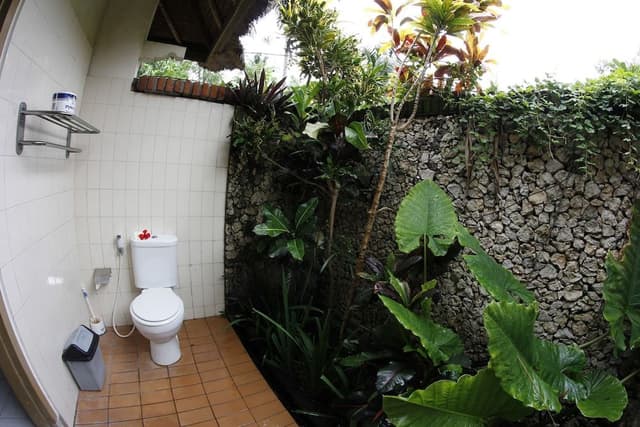 Bungalow, Garden View