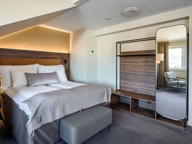 Deluxe Room, Non Smoking (Bedding 1 Double Bed + Wall Bed)