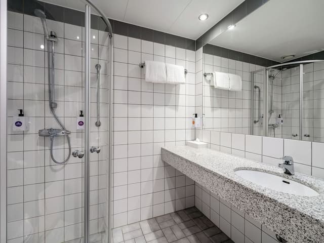 Deluxe Room, Non Smoking (Bedding 1 Double Bed + Wall Bed)